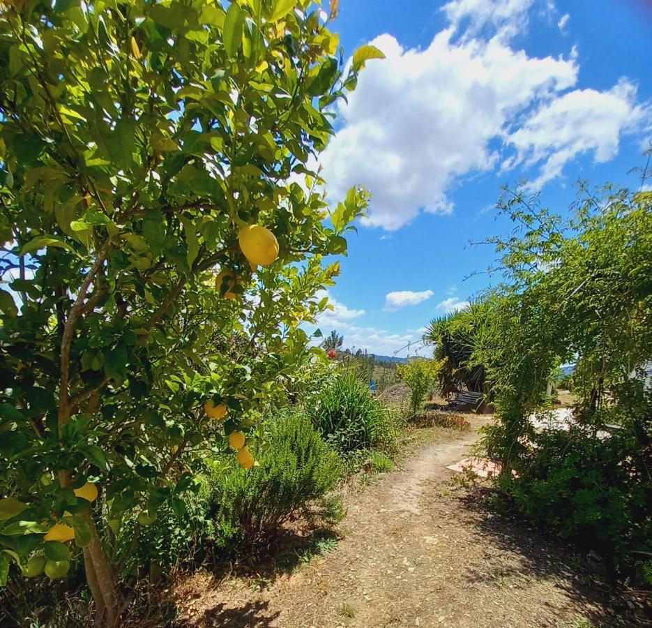 Vale De Garcia Al 5357 Villa Colos  Buitenkant foto